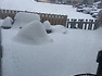 2019.2.12-13 캐나다 오타와에 스노우 스톰 (Snow storm) 이 왔어요^^