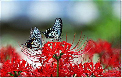 99DC823359D59EB31059B2