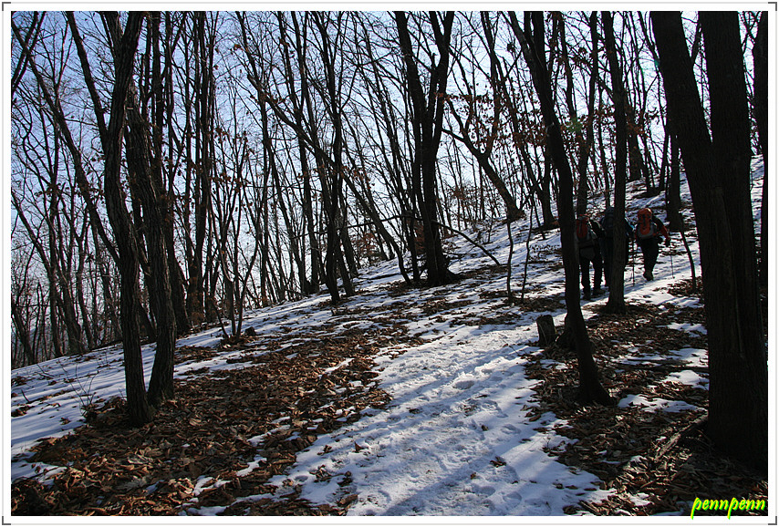 어비산 정상(829m) 이미지