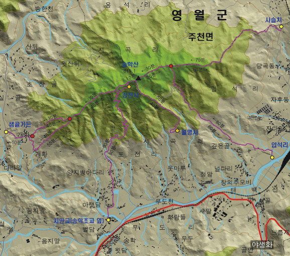 송학주유소 이미지