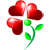 1137EB504E72012902425E
