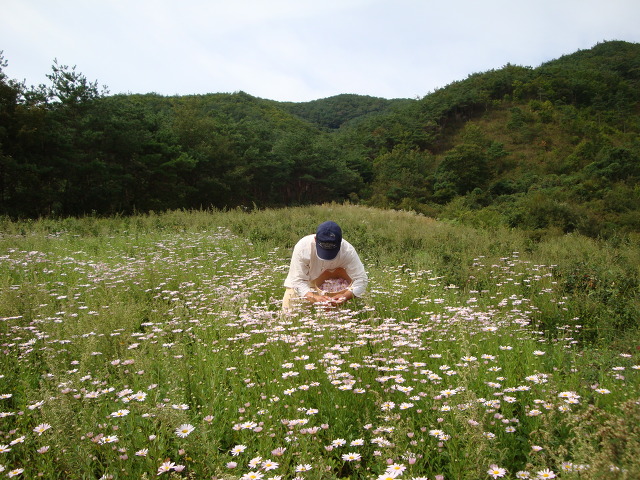 다선정 이미지