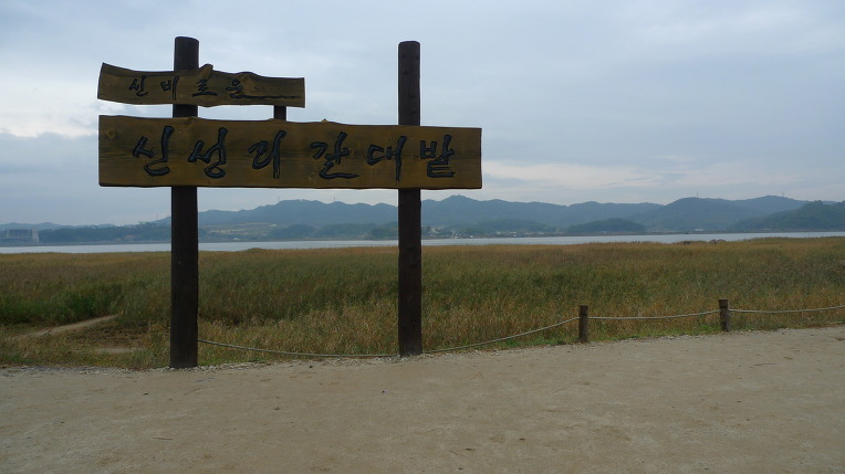 공정여행 서천구경 이미지