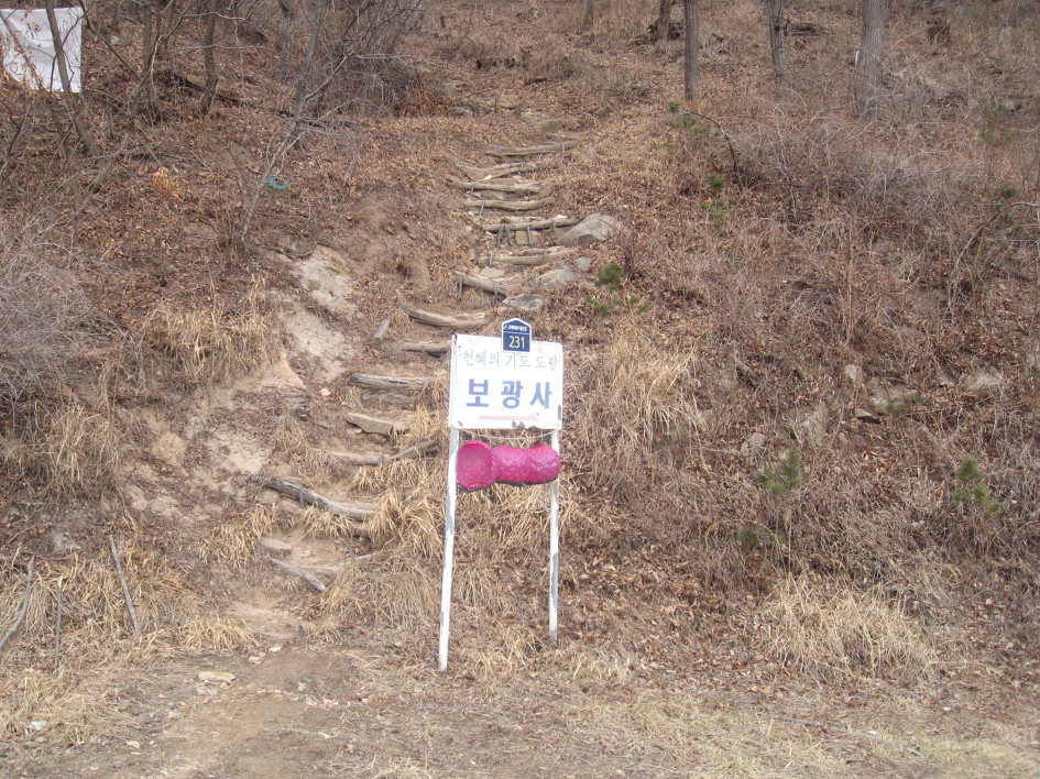 난계국악기 이미지