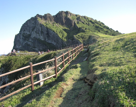 イメージ全体表示