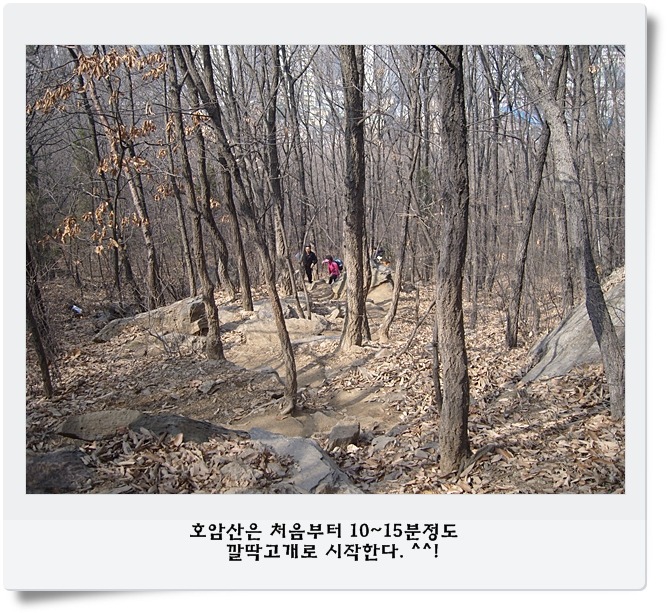한우물통신 이미지