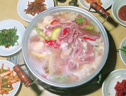 서산낙지 이미지