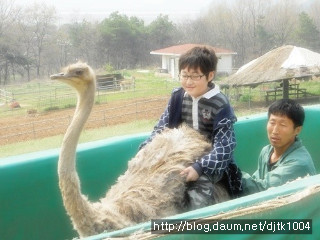 경군의 활동모습,,
