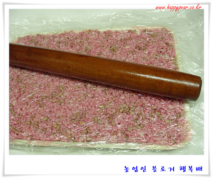 천년초가  어떤 것인가 호기심에 ~~  *^^*