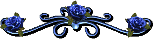 124981504E71850415A82E