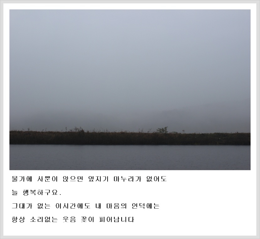 125C2E4F5091232F212295
