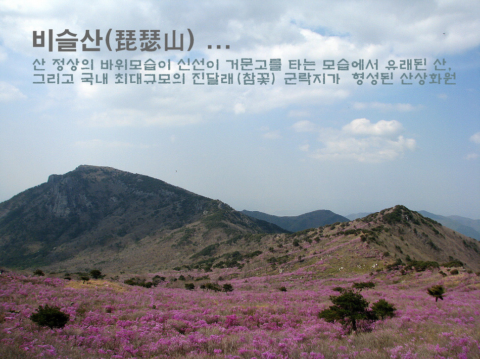 비슬산 이미지