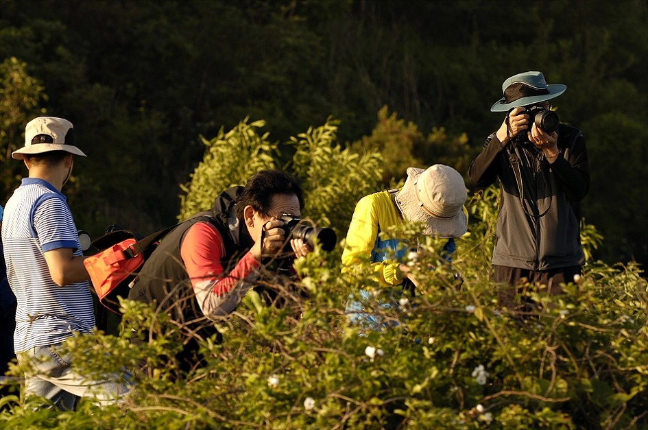 인사배 회원님들의 강화도 출사간 멋진 포스....
