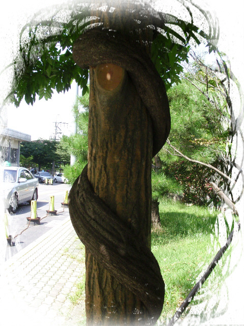 카톨릭병원 이미지