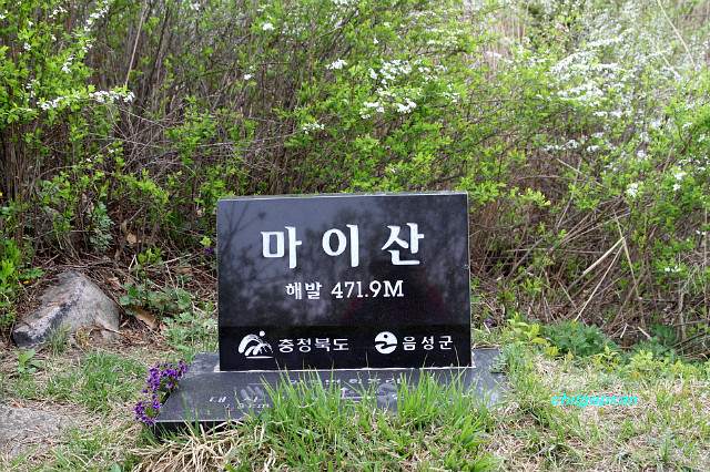 죽림산 정상 이미지