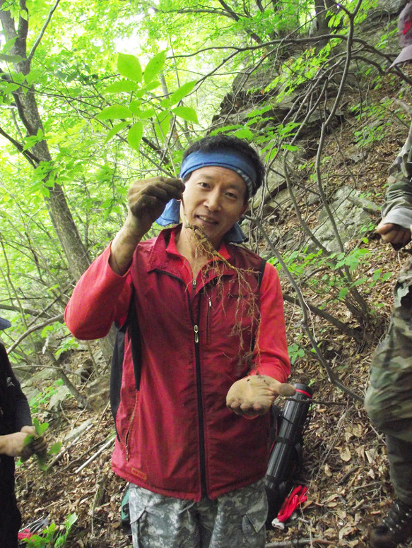산약초이야기 이미지