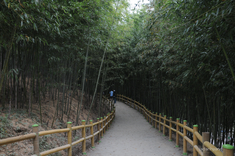 죽림원 이미지