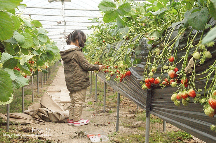 143EC2554DA873D02C2D5A