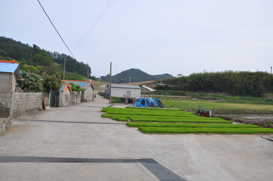 차우리다 이미지