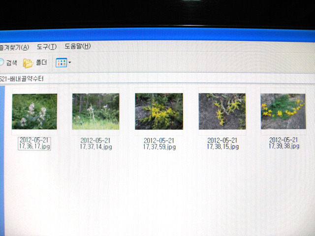 usb 이동식 디스크 사용