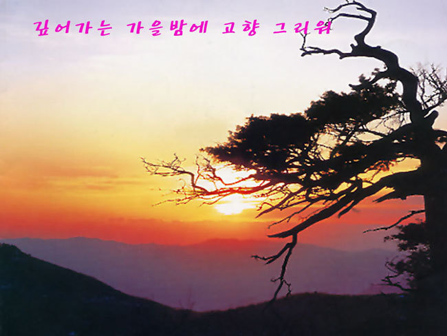 만향 이미지