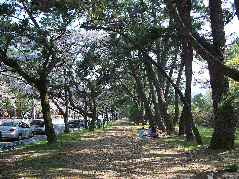 하나화원 이미지