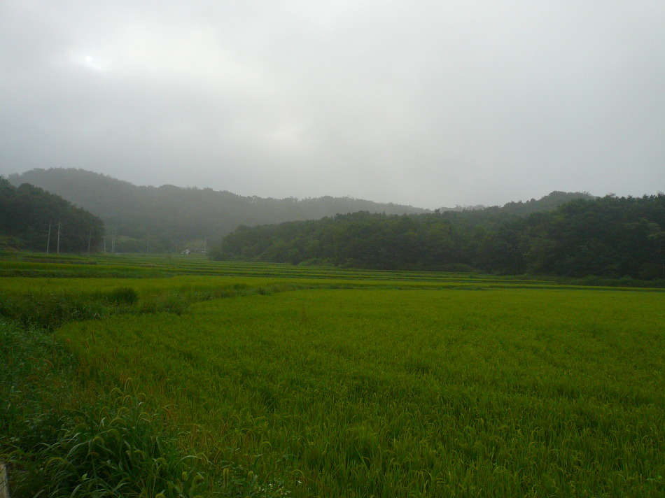 수목원의 산책로