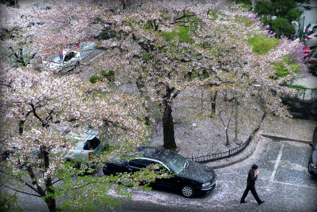 1545CD254BCEE05E5A339A