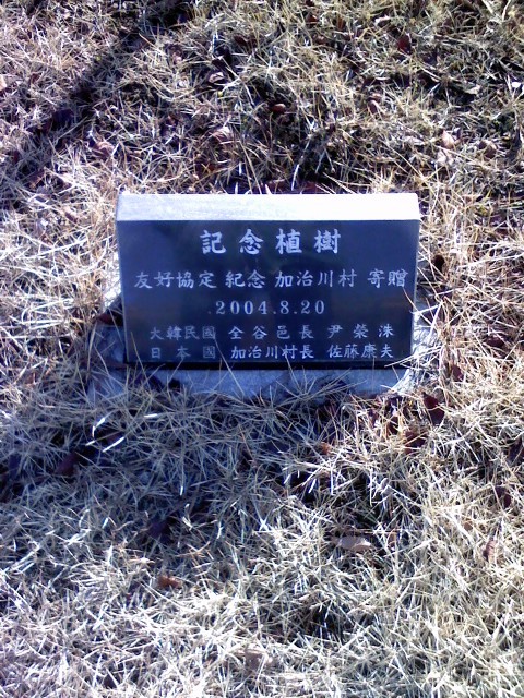 이것도 자랑인가?