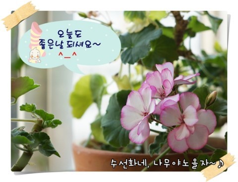 두꺼비집 이미지