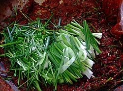 액젓 사용 안해도 아삭아삭 맛있는 배추겉절이~