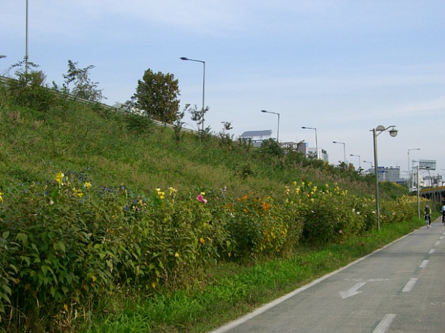 163B68385073B612089205