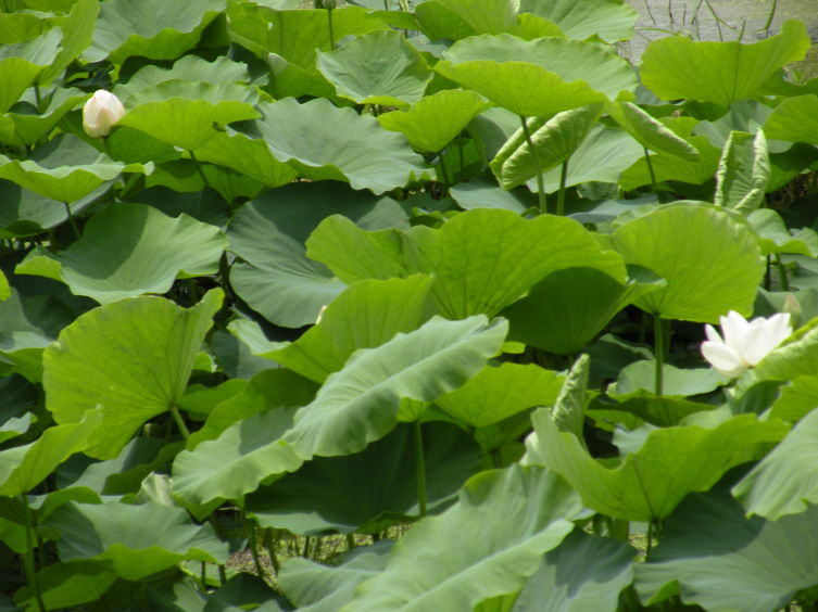 합천군산림조합 이미지