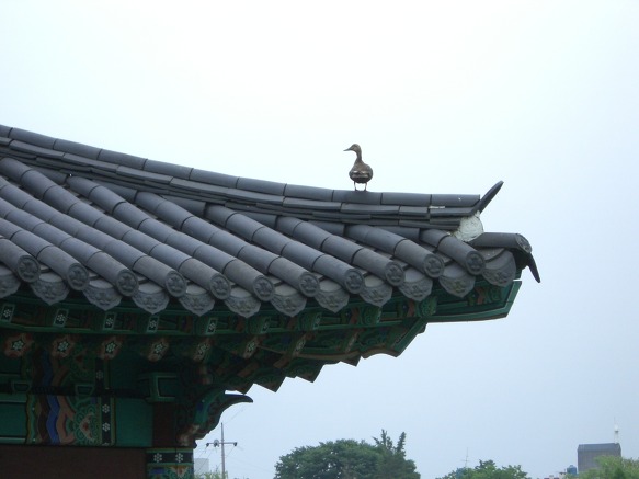 취향정 ,덕진연못 풍경