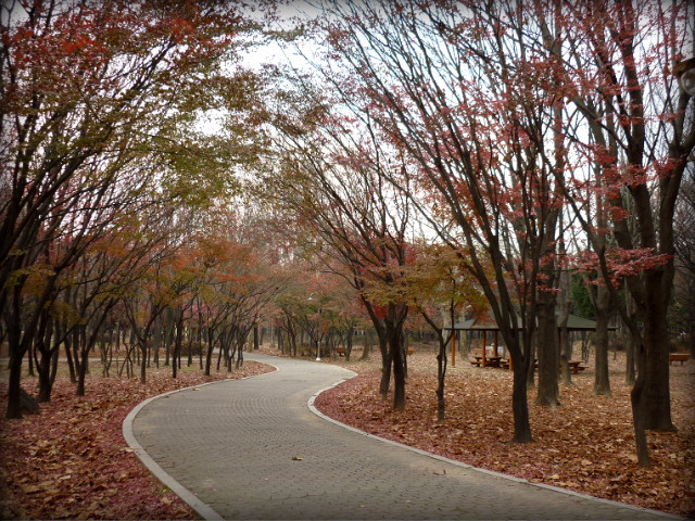 175B14184B0A83B968F4F0