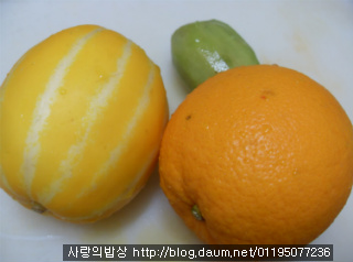 박물관뜨락,계절의여왕 강림하다! 숙녀의 화려한도시락 >_