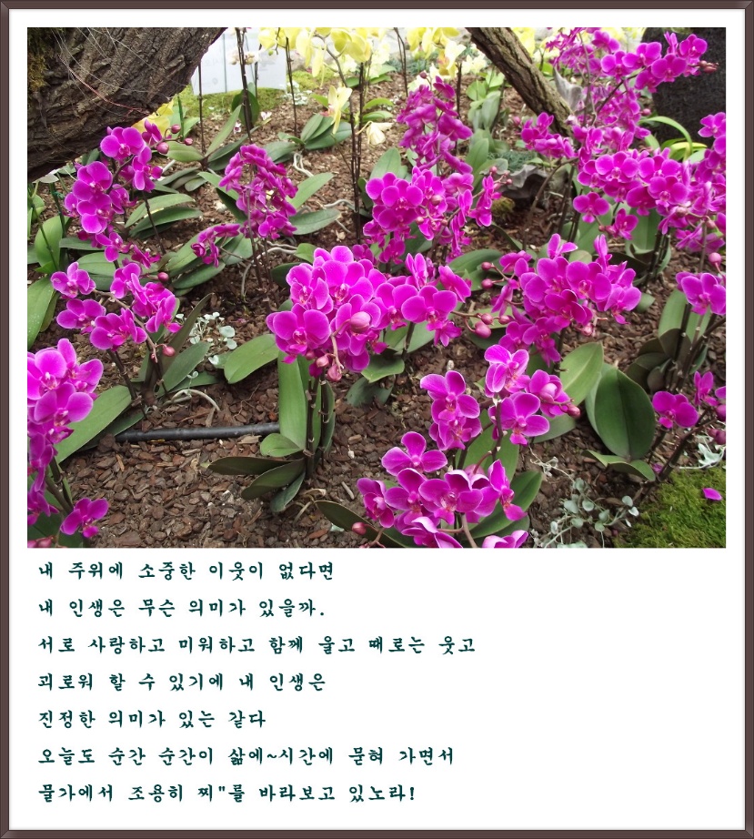 186500414FEDB85122464F