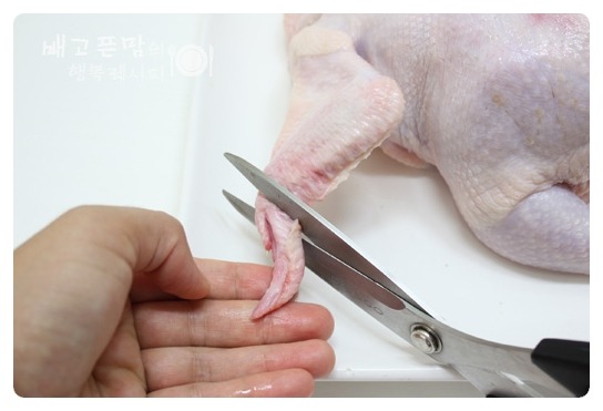 말복에 해먹은 여름 대표보양식.