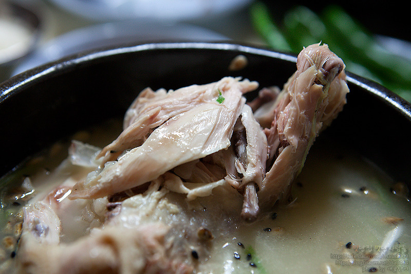 맛있는 닭백숙집? :: 닭,닭백숙,삼계탕,신라삼계탕,장수마을 :: 맛집 정보 검색 NO.1 사이트, 메뉴판닷컴 :: 맛집 정보가 가득