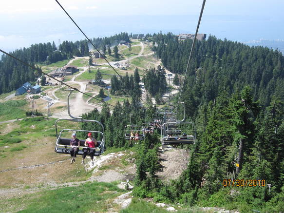 Grouse Mountain정상의 보호소에 있는 큰 야생곰 두마리
