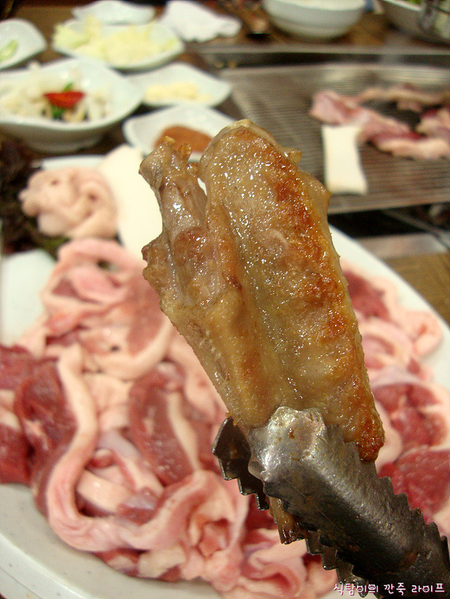 황금생오리 이미지