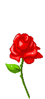 20183D424F2FCEF11C02C3