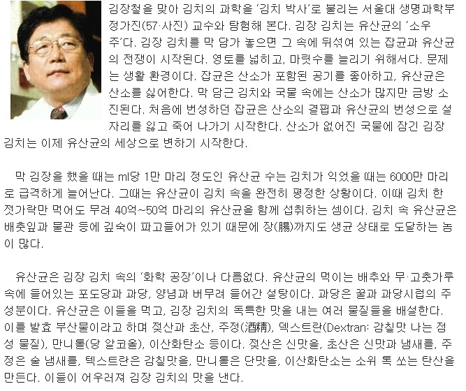  김치 박사