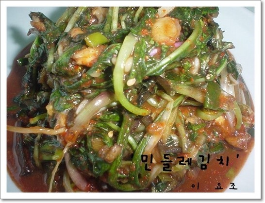 돈이랑김치랑 이미지