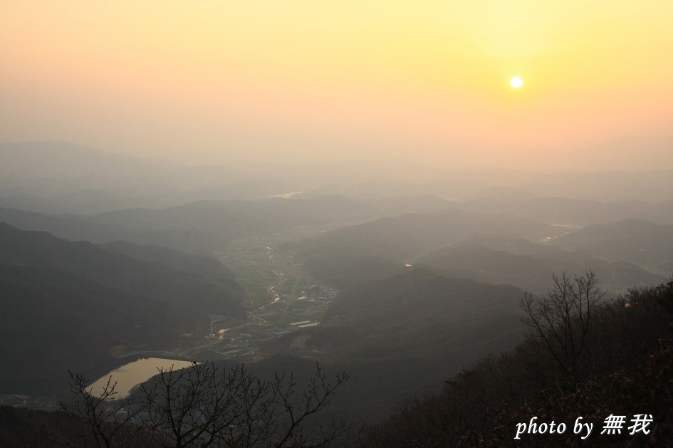 봄소식~