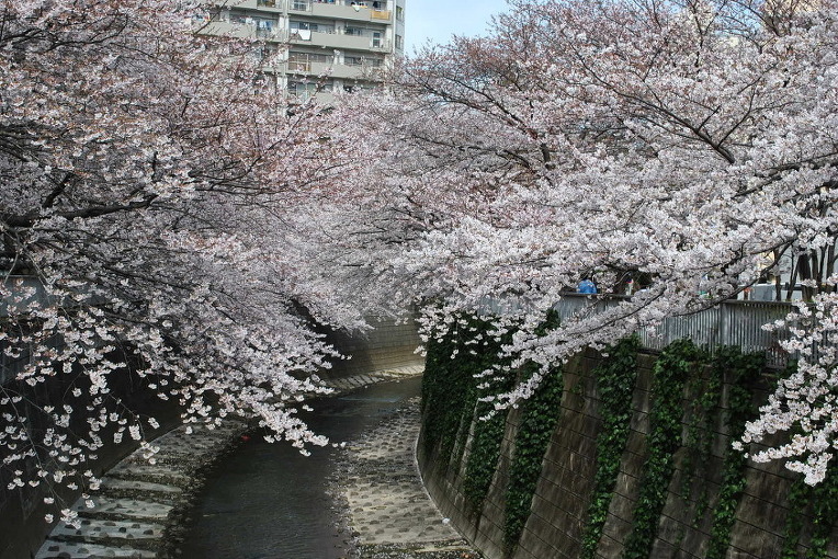 210BE34D52A50E1211A6B1