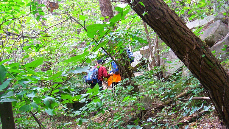 2110E634542BEDB04FBCAD