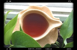 공덕을 얻는 방법