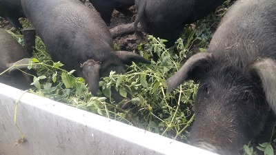 촌아줌마  시골아줌마가  싫어요..