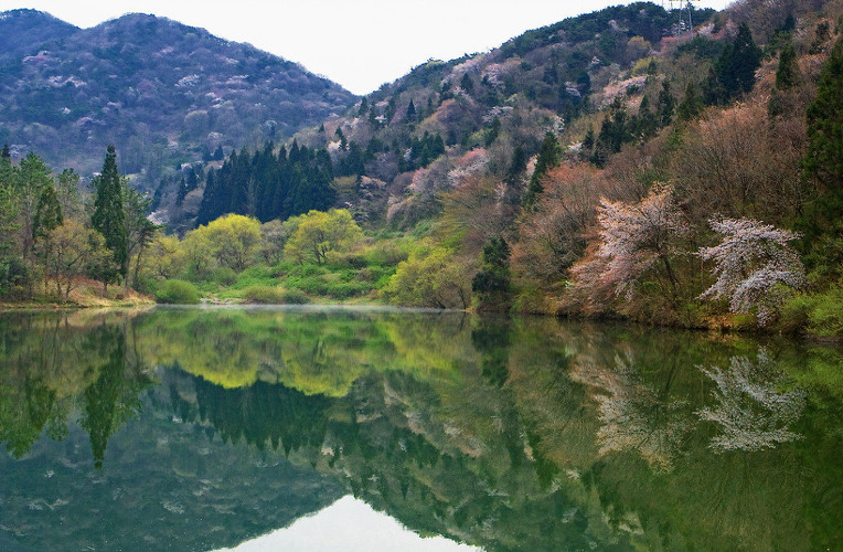 2173F04B52A50E081171A5